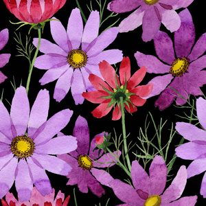 以水彩风格的野花 kosmeya 花卉图案