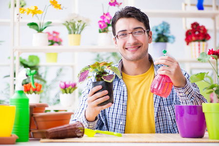 在一家花店与房子植物工作的园丁花店