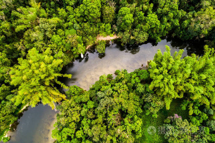 南美洲亚马逊雨林的鸟瞰图