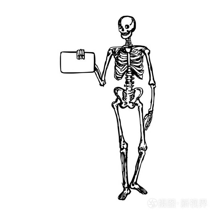 背景上的黑色线条绘制的人体骨架插画-正版商用图片0uduuf-摄图新视界