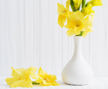 gul gladiolus p vit bakgrund