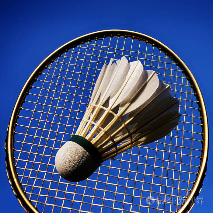 艺术羽毛球行动