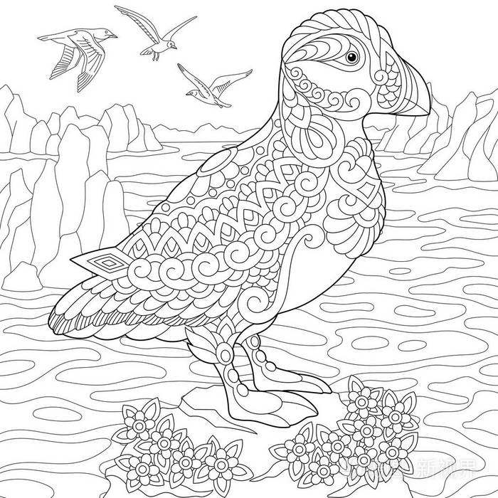 程式化的 zentangle 海雀鸟插画-正版商用图片0uehbp-摄图新视界