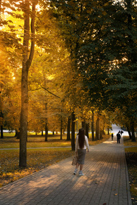 人都在远处散步.阳光穿过树叶他们让路照片