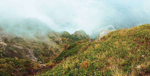 与雾山全景