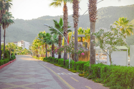 美丽的景色的城市道路和绿化植物