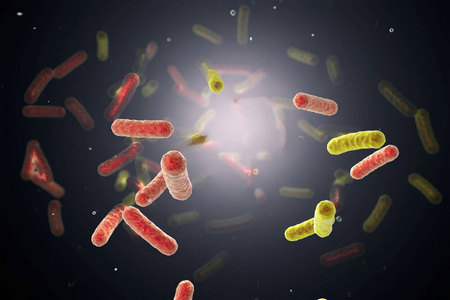 霍乱孤菌在水中的细菌照片