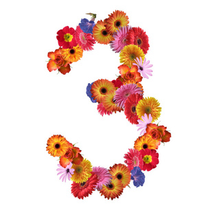 花卉的字体设计图片