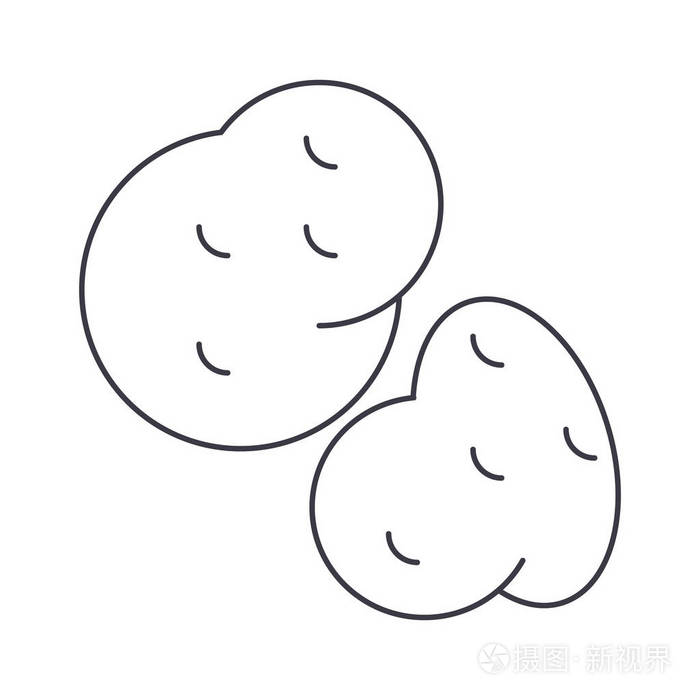 马铃薯矢量线图标, 标志, 插图背景,可编辑笔触插画-正版商用图片0ue