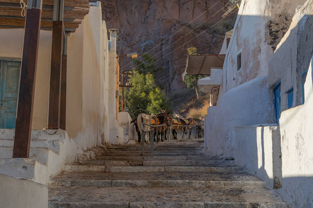 驴子 Fira，希腊圣托里尼的步骤
