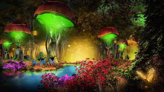 梦幻蘑菇梦幻森林里的蘑菇照片