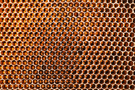 关于蜂窝蜂巢蜜蜂