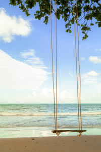秋千在海滩上挂在树下图片