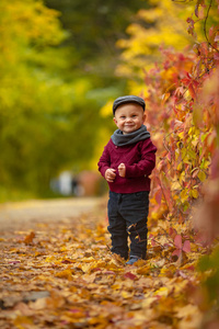 孩子的小男孩在公园里去上多彩的秋天 l 背景