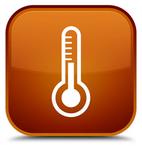 温度计图标特殊棕方形按钮