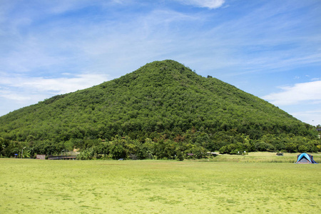 游客们在草地上搭建帐篷露营休息和