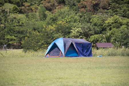 游客们在草地上搭建帐篷露营休息和