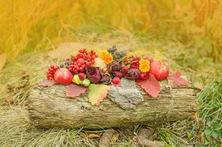 秋天背景与季节性莓果苹果和花