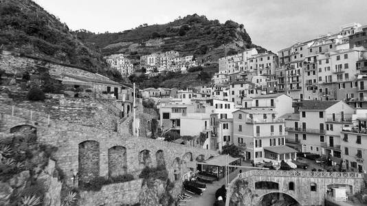 Manarola 鸟瞰图