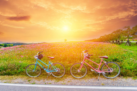 日落美丽的自行车风景
