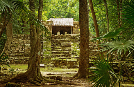 Muyil 也被称为 Chunyaxche 是最早和最长居住古代玛雅遗址在墨西哥的尤卡坦半岛东岸之一