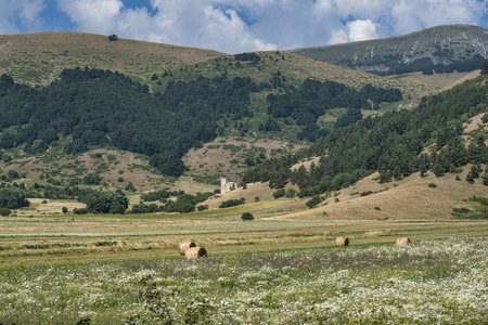 夏季的山地景观