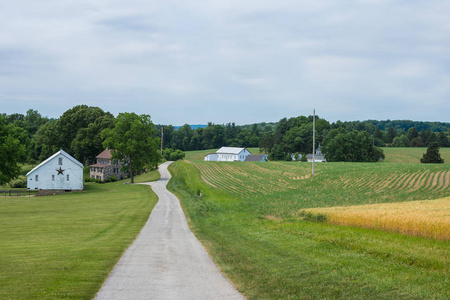 农村国家约克郡宾夕法尼亚州的农田, 在一个夏天的一天