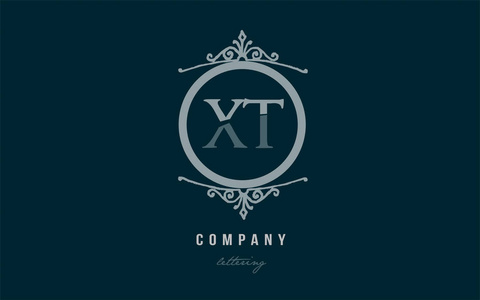 xt x t 蓝色装饰会标字母标识组合照片