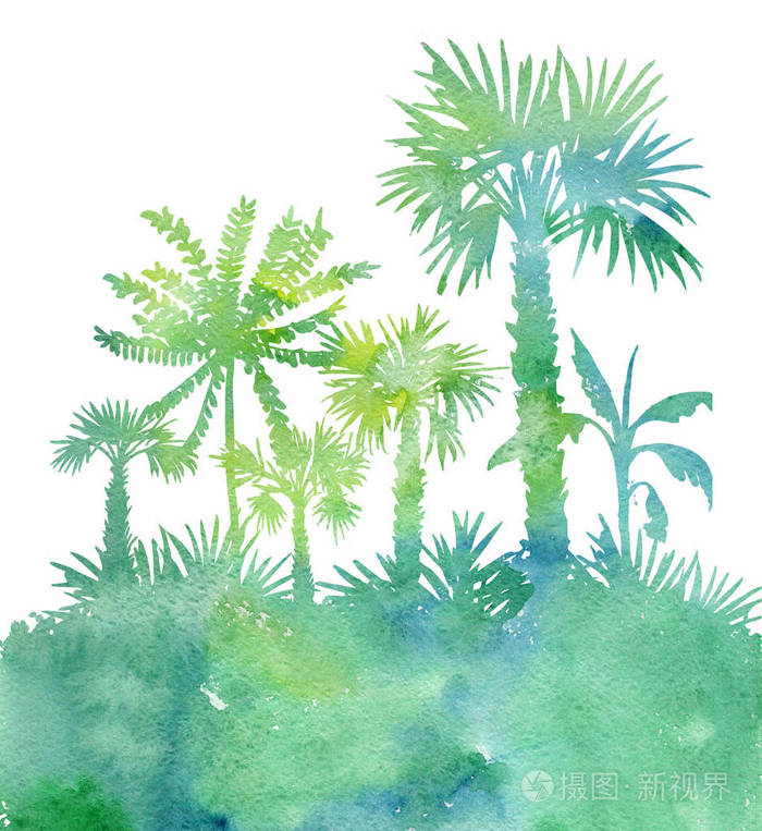 水彩风景的棕榈树