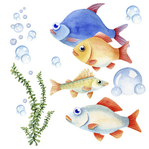 鱼类矢量卡通场景渔夫捕到鱼鱼蓝色的鱼隔离可爱的卡通鱼看着钩猫和鱼