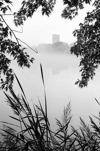 城市公园的秋天风景。清晨河水浓雾。多层建筑在树枝框架中的剪影。黑白照片