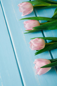 粉红色的郁金香在蓝色木背景，复制空间