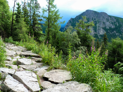 斯洛伐克高 Tatras 山脉的小径