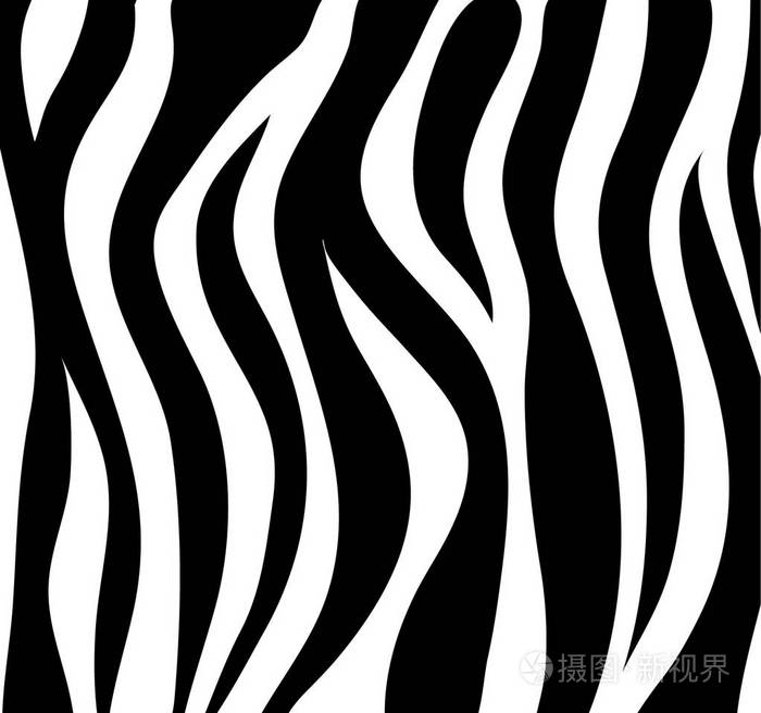 斑马条纹黑色和白色抽象背景作为皮肤.vecto