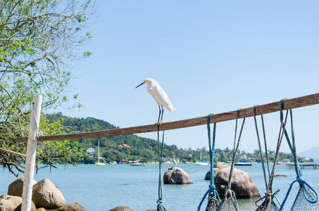 gara na natureza可视化或海景