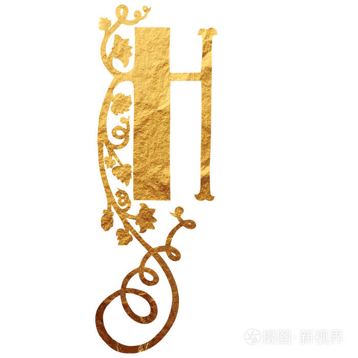 花首字母缩写 黄金质地照片 正版商用图片0ug157 摄图新视界