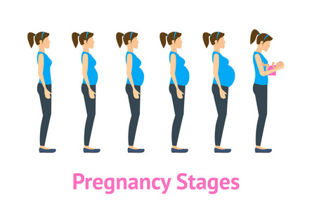 卡通妊娠阶段和出生套。矢量