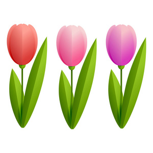 粉红色郁金香向量例证。剪纸花
