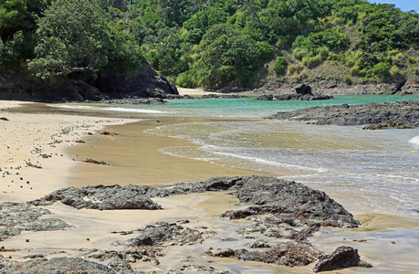 新西兰 Matapouri 海滩上的岩石