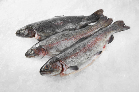 红鱼, 冰上鳟鱼照片