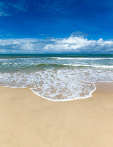 海滩和热带海