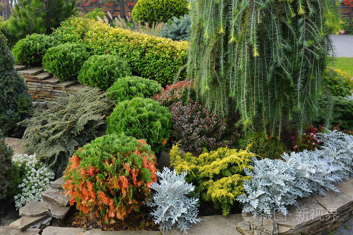 花坛与装饰树木 灌木和花卉在炎炎夏日照片 正版商用图片0ugn49 摄图新视界