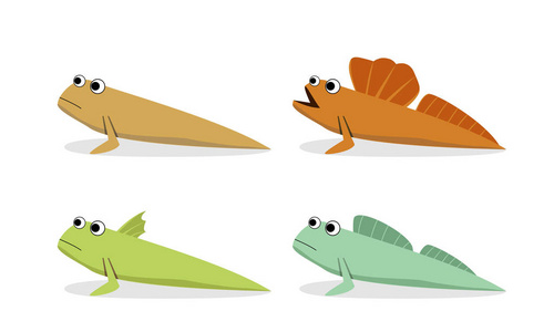 行走的鱼oxudercinae;弹涂鱼在媒介艺术, 侧面看法照片