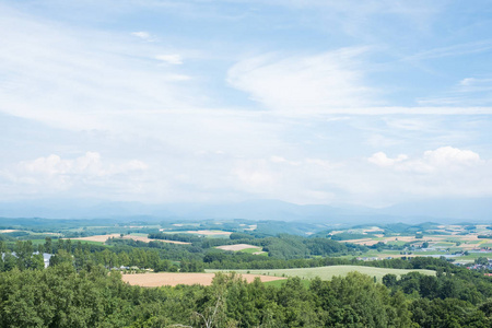 旭镇夏季美景