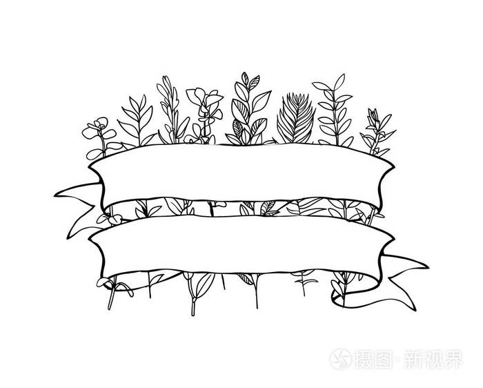 横幅与叶子, 花和鸟插画-正版商用图片0ugtjl-摄图新视界