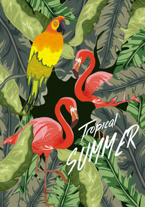 夏季热带背景。有棕榈和香蕉叶, 龟背竹和曼陀罗花的火烈鸟鸟