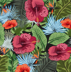 热带植物花卉背景图片