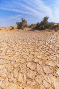 干燥开裂的土壤。干河 Araba 沙漠。约旦