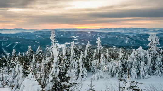 在雪山日出