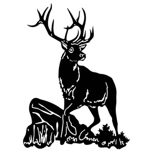 美丽的鹿的剪影, 头转动, 在白色背面照片